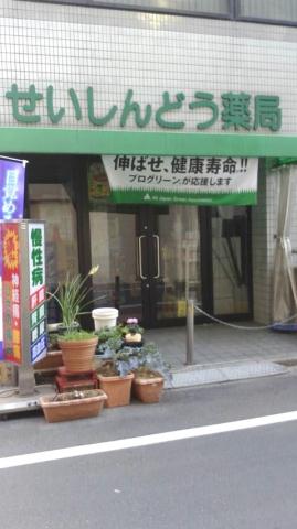 その他　【ドラッグストア】せいしんどう薬局（その他）まで466m