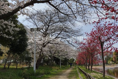 公園　南港地区公園（公園）まで601m