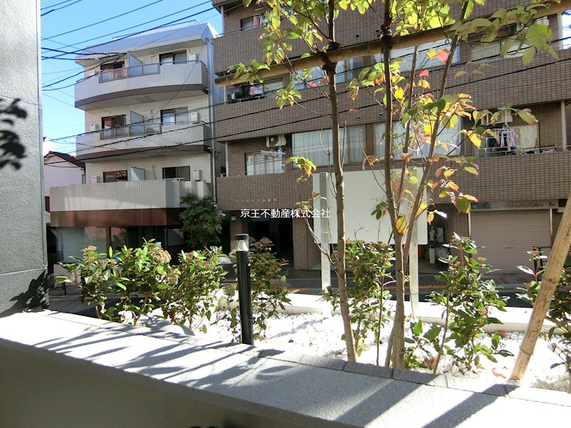 眺望　目の前は植栽ございます