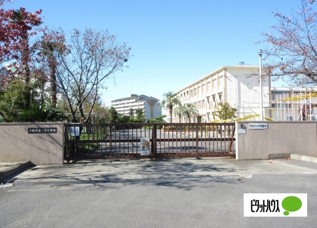 小学校　小牧市立一色小学校（小学校）まで686m