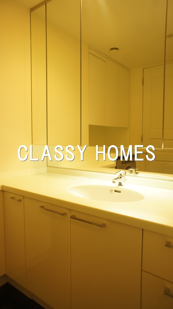 洗面設備　2006年竣工　ワールドシティタワーズブリーズタワー：洗面台