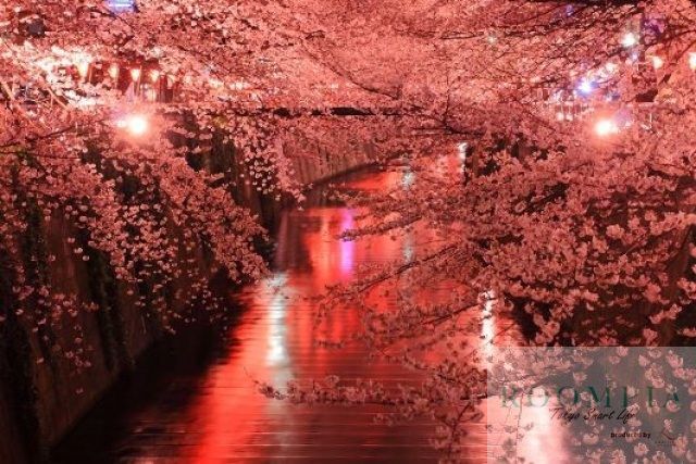 その他　周辺環境