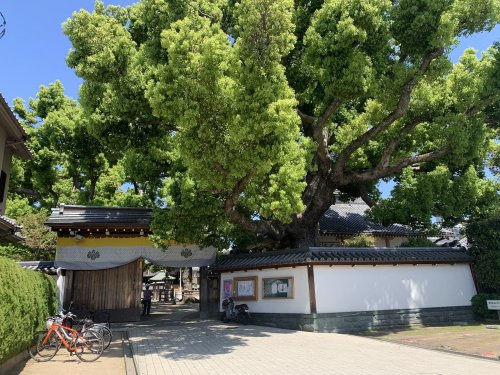 その他　あびこ観音寺（その他）まで1015m