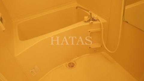 バス・シャワールーム　同物件別部屋です。