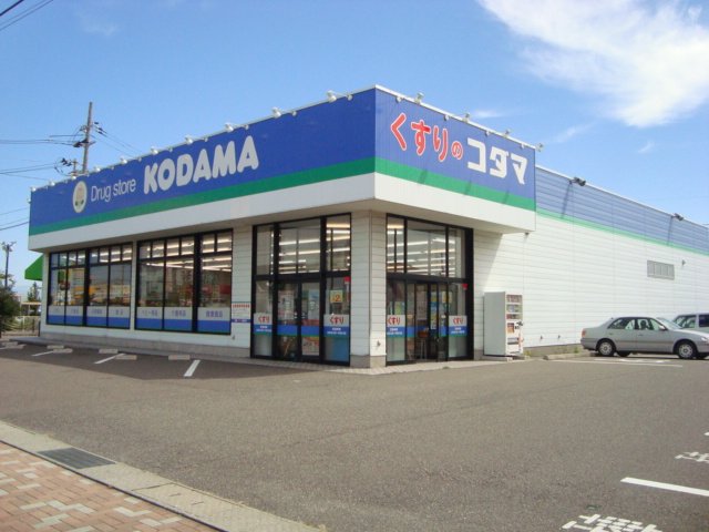その他　クスリのコダマ小新店（その他）まで777m