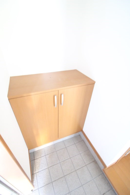 その他　カウンタータイプのシューズボックス完備