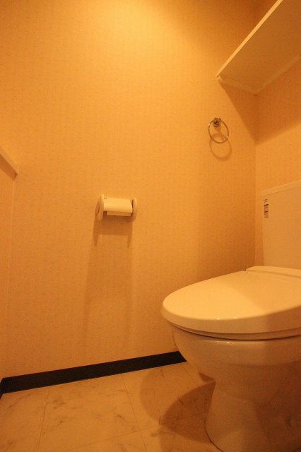 トイレ　同物件別号室の写真です。