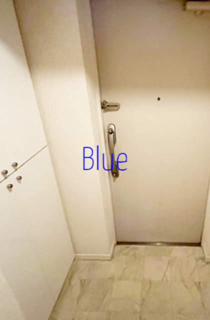 玄関　同じ仕様