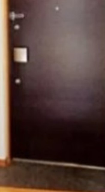 玄関　【同仕様タイプ】