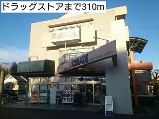 ドラックストア　ドラッグストア（ドラッグストア）まで310m