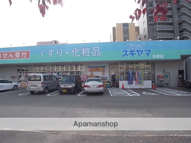 ドラックストア　ドラッグスギヤマ松原店（ドラッグストア）まで600m