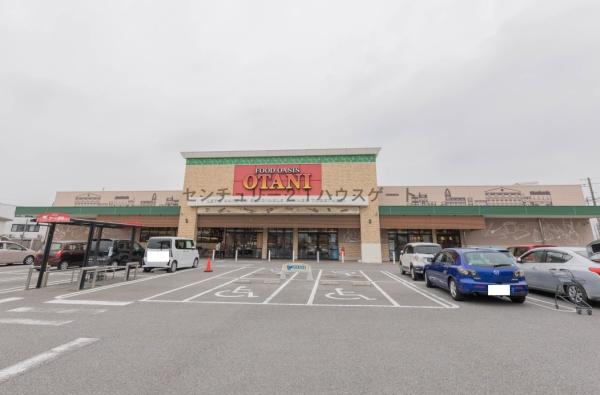 スーパー　フードオアシスOTANI一の沢店（スーパー）まで604m