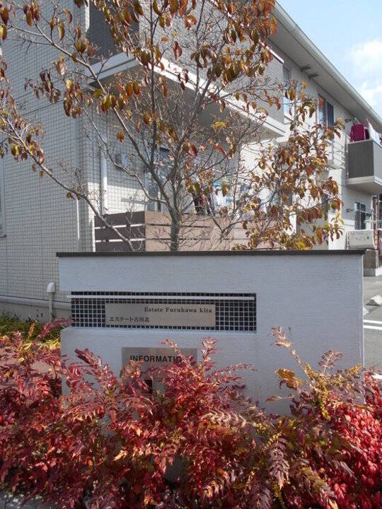 エントランス　アプローチ