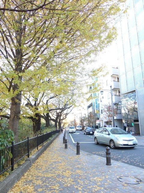 その他　風の散歩道（その他）まで800m