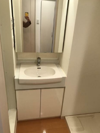 洗面設備　左右反転別部屋参考写真