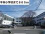 小学校　牛牧小学校（小学校）まで800m