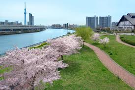 公園　汐入公園（公園）まで1178m