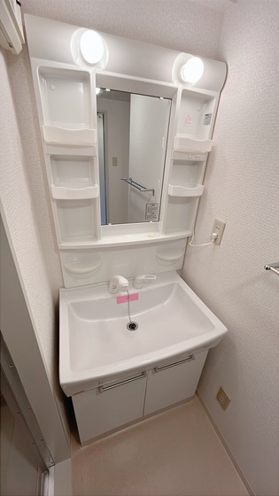 洗面設備　※他号室の写真です