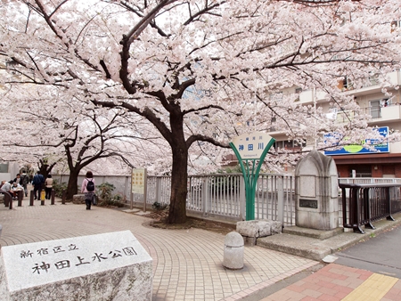 公園　新宿上水公園（公園）まで250m