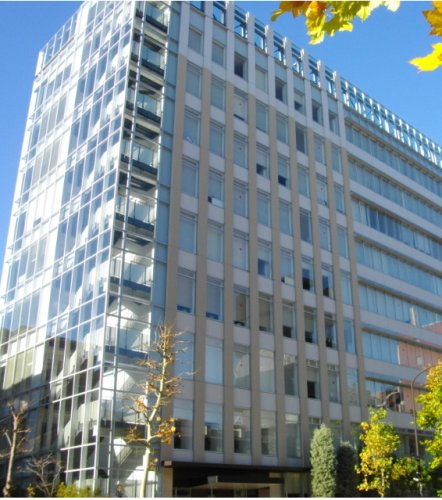 中学校　広尾学園（中学校）まで1077m
