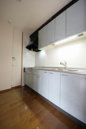 キッチン　同タイプ・別部屋、現況優先