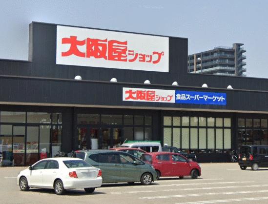 スーパー　大阪屋ショップ高岡駅南店（スーパー）まで809m