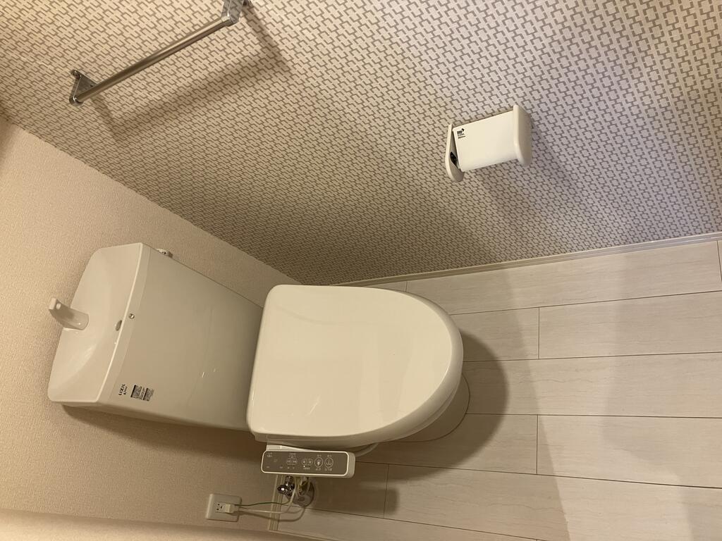 ロイジェントパークスレイクタウンIIGのトイレ写真