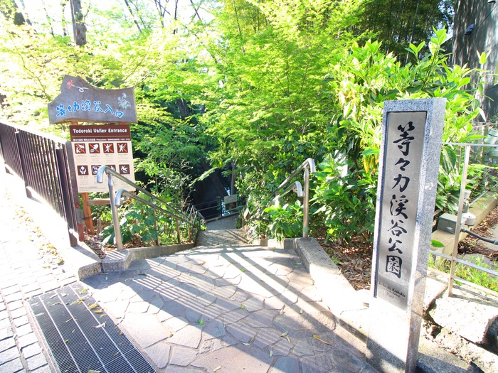 公園　等々力渓谷（公園）まで352m