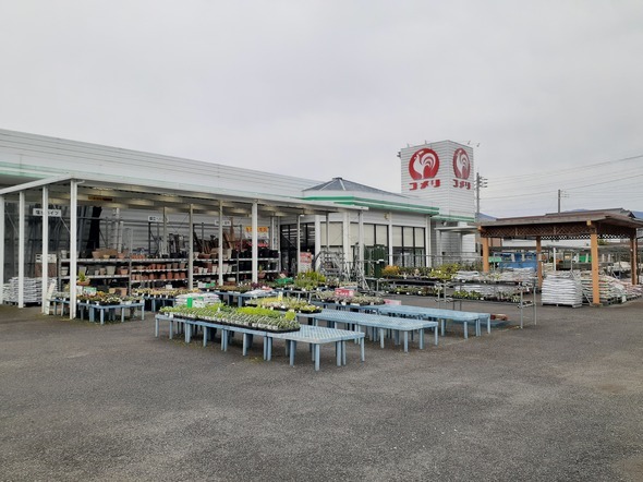 ホームセンター　コメリハード＆グリーン大里店（ホームセンター）まで600m