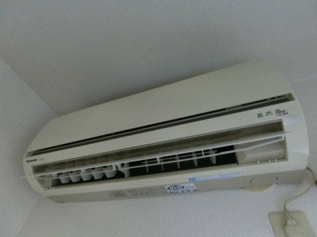 ポプラーレキシダのその他写真