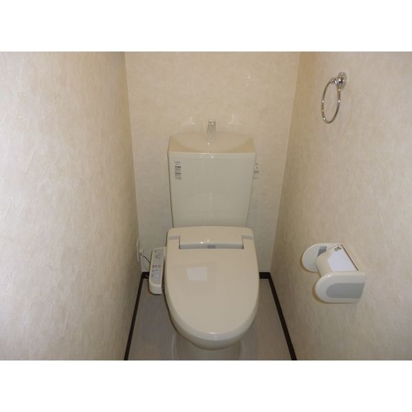 ＪＲ上越線 高崎問屋町駅 徒歩28分 2階建 築13年のトイレ写真