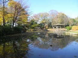 公園　神明水の森公園　風車広場（公園）まで83m
