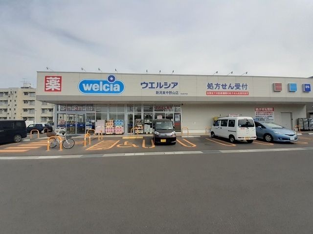 ドラックストア　ウエルシア新潟東中野山店（ドラッグストア）まで1100m