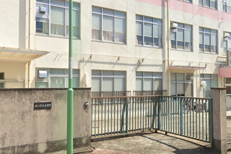小学校　名古屋市立桜小学校（小学校）まで554m