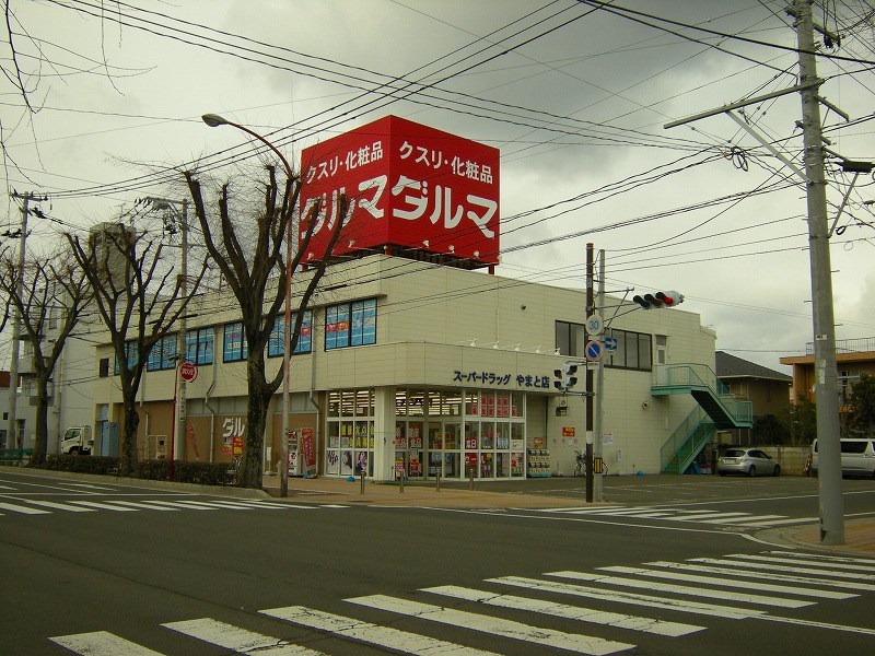 【コーポ寺島のドラックストア】