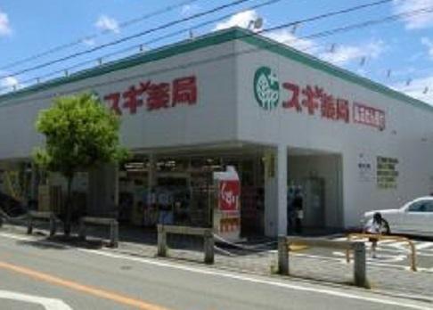 ドラックストア　スギ薬局上ノ島店（ドラッグストア）まで691m