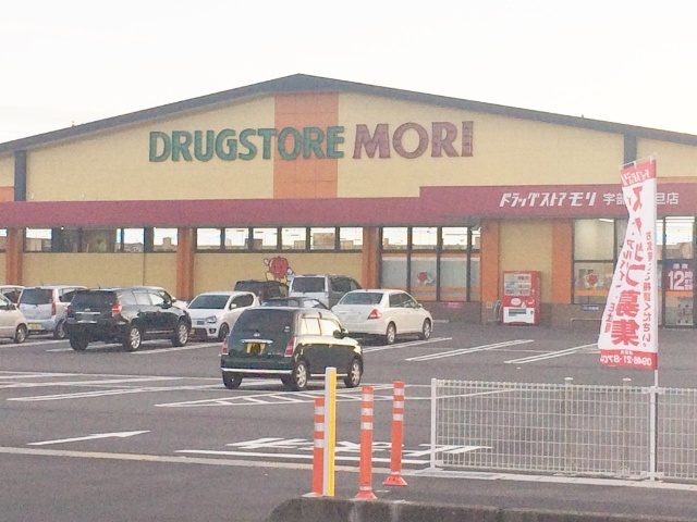 ドラックストア　ドラッグストアモリ宇部沖ノ旦店（ドラッグストア）まで1017m