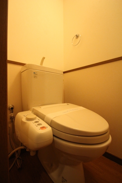 トイレ　写真は別号室です。