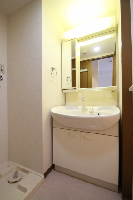 洗面設備　写真は別号室です。