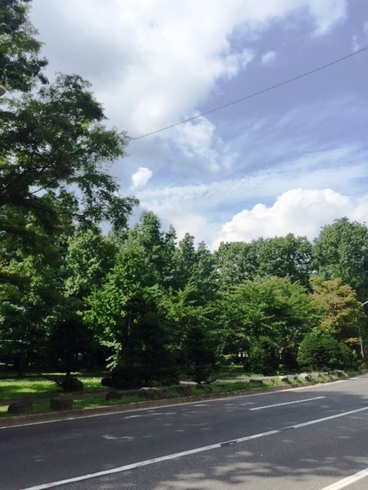 公園　中島公園（公園）まで310m