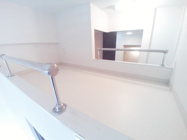 その他　ウォークインクローゼットの上にベットスペースもあります