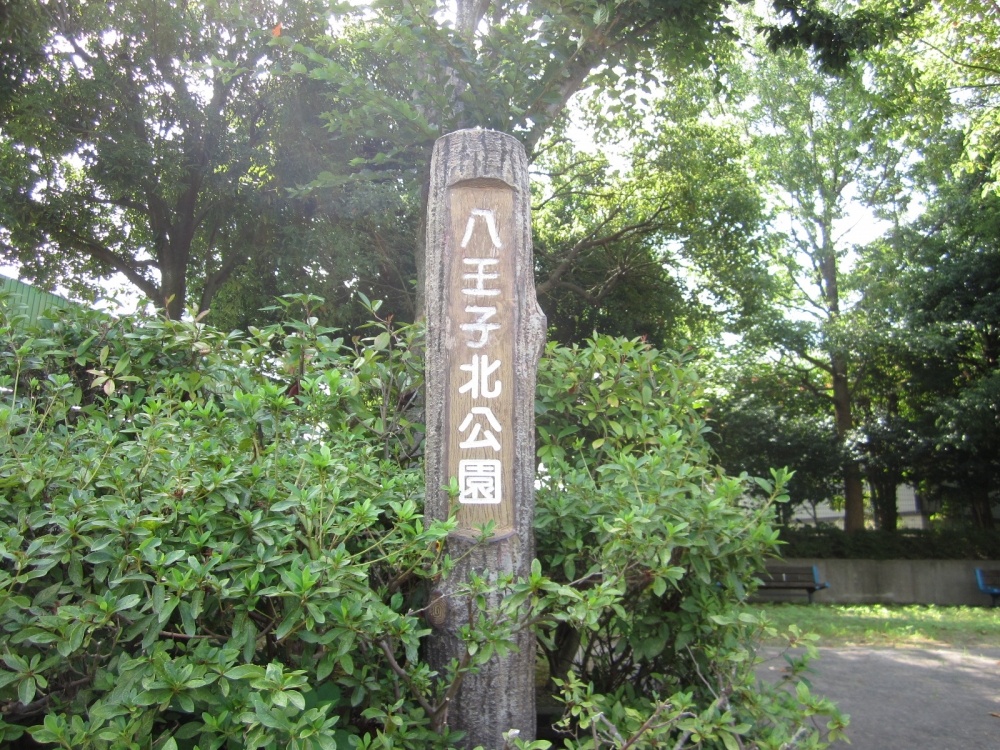 公園　八王子北公園（公園）まで379m