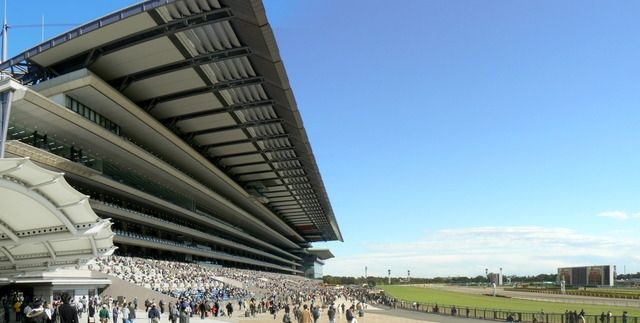 その他　府中東京競馬場（その他）まで2000m