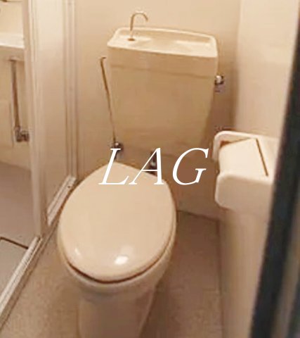 トイレ　トイレです。（同仕様です。）