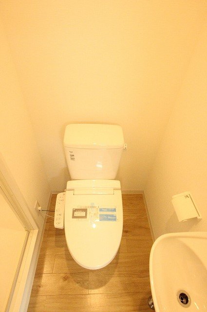 トイレ　同物件、別号室のものです。