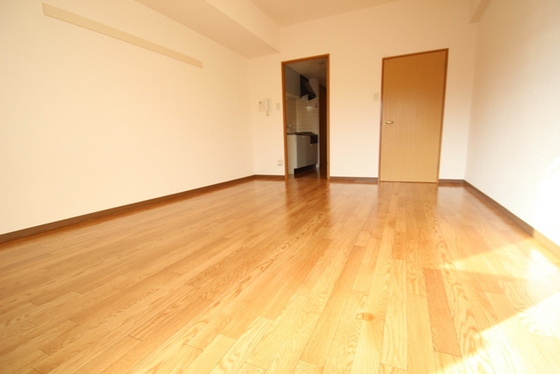 居室・リビング　※別部屋の写真です