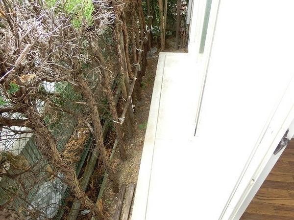 バルコニー　南向き！