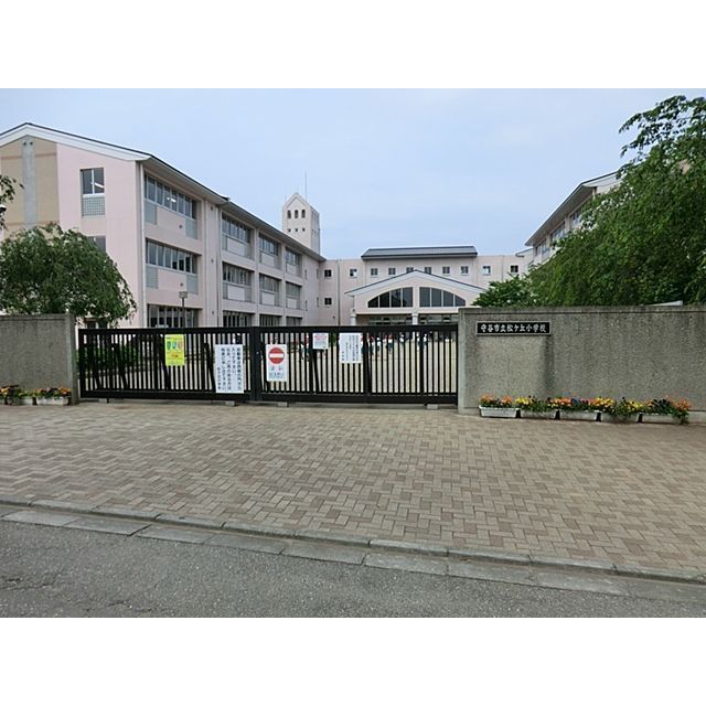 小学校　守谷市立松ケ丘小学校（小学校）まで735m