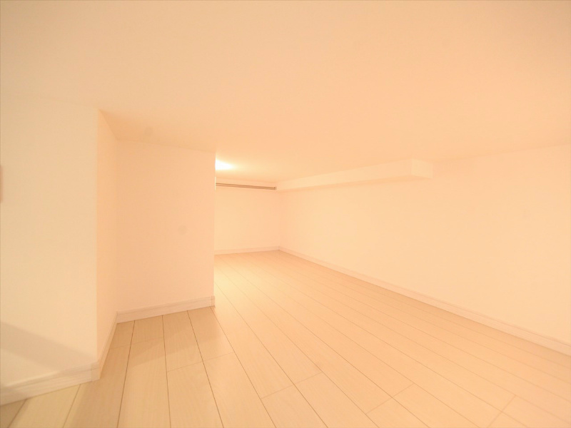 その他　ロフト5.2帖（収納としてもお部屋としても使えます）