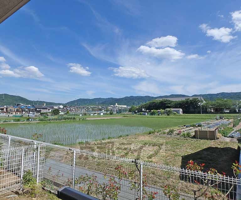 眺望　１階からの眺望です